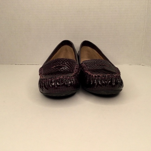 Arturo Chiang snake embossed gorgeous flats. - Picture 2 of 10